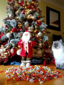 Corneliu's Syringes beneath the Christmas tree.